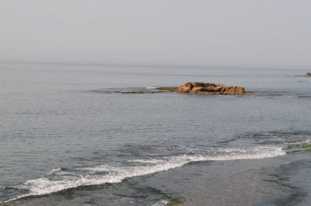 Top 20 Beaches in Gujarat to Relax and Enjoy Your Holiday