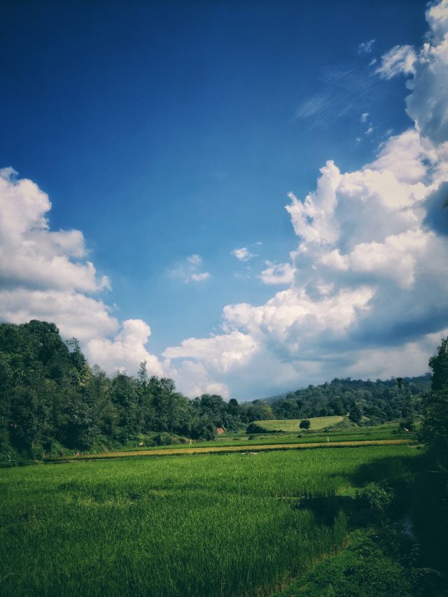 Places to visit near coorg within 200 kms