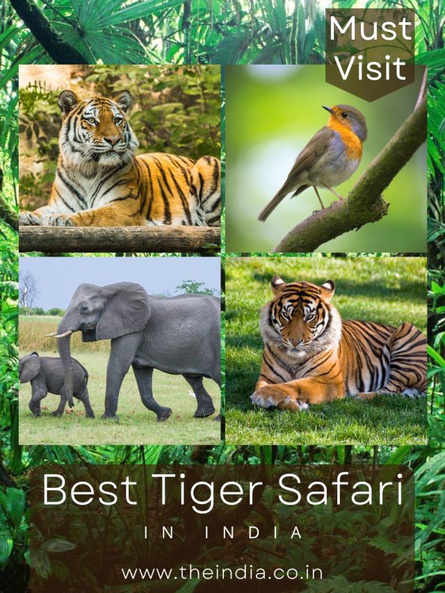 Best Tiger Safari in India