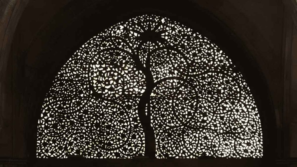 19 Perfect Picnic Spots Near Ahmedabad for a One-Day & Weekend Trip