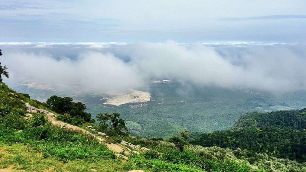 10 Best Places to Visit in Yercaud for 2 Days With Family