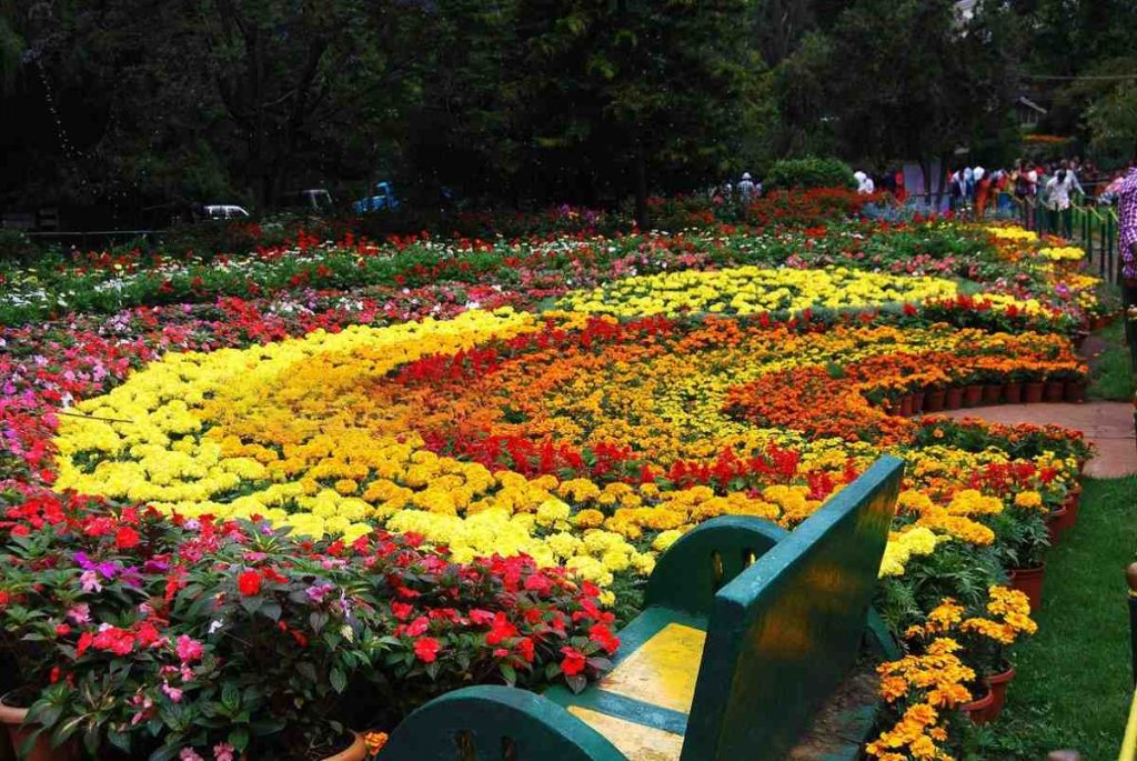 Visit Ooty Flower Show 2025 – Dates, Venue, and Tickets